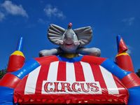 Circus Olifant 5/6